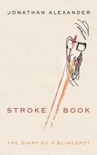 Stroke Book: The Diary of a Blindspot