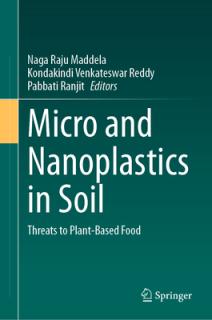 Micro and Nanoplastics in Soil: Threats to Plant-Based Food