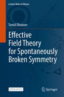 Effective Field Theory for Spontaneously Broken Symmetry